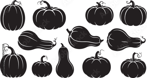 Black silhouettes of various pumpkins and squash on white