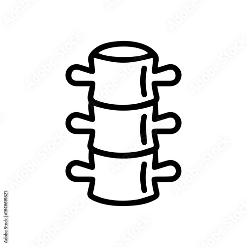 Human Spine Anatomy Icon