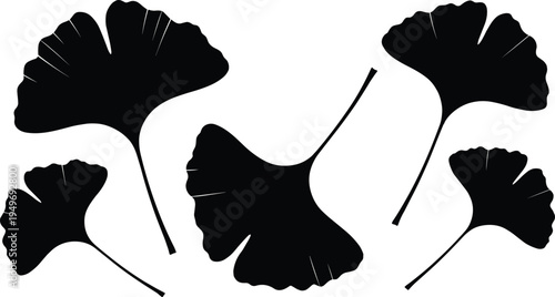 Black Ginkgo Biloba Leaf Silhouette Set Featuring Various Sizes and Shapes for Wellness Nature Vector Icons Herbal Medicine and Botanical Graphics