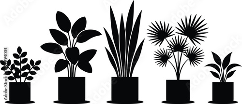 Black silhouette of various potted house plants and tropical indoor greenery collection isolated on white background for interior design decoration.