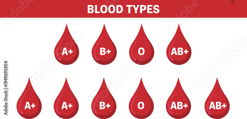 Blood types infographic with red blood drop icons A plus B plus O and AB plus medical donation concept