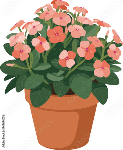 Blooming pink flower plant in clay pot vector illustration, decorative houseplant with green leaves isolated botanical home decor