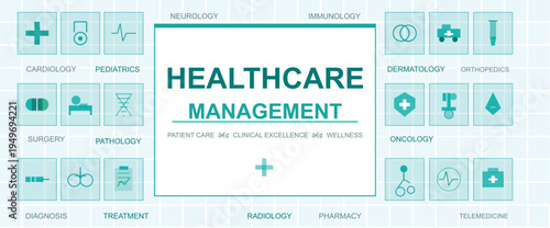 Healthcare Management Infographic: a clear, concise visual representation. perfect for presentations, reports, and websites related to healthcare management.