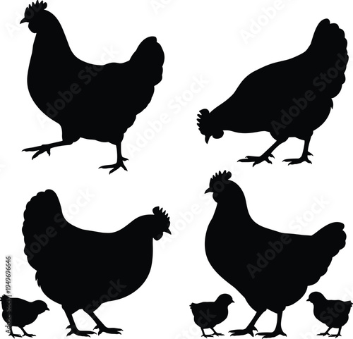 Chicken and chick silhouettes collection vector illustration, poultry farm birds set isolated, hen rooster farming animals icon design