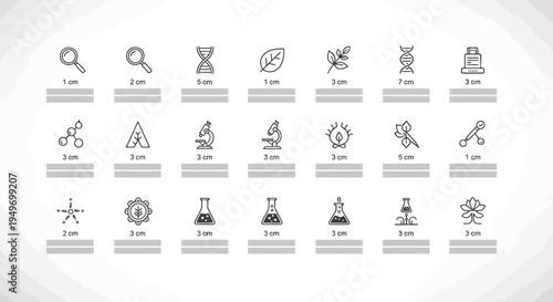 Autumnal elements collection leaves acorns and wood textures illustration