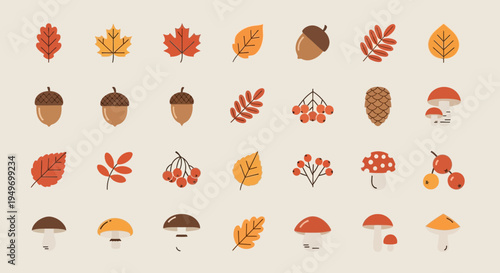 Autumnal foliage and forest elements vector illustration set