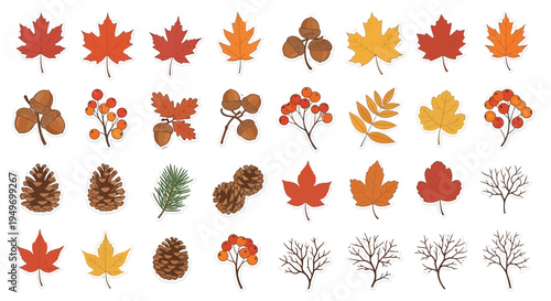 Autumnal foliage collection vector illustrations of leaves and berries