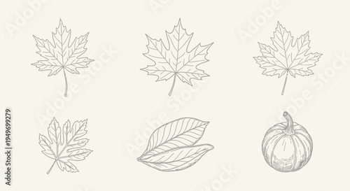 Autumnal foliage and pumpkin vector illustration on cream background
