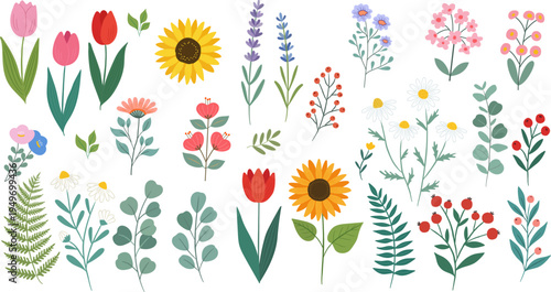 Floral and botanical illustrations, suitable for wedding invitation design, florist flyers, home decor paintings, and nature-themed journal materials.