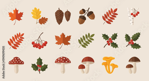 Autumnal nature elements vector illustrations of leaves acorns and mushrooms