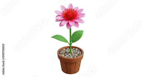 A vibrant pink flower blooming in a small pot with green leaves and soil isolated on transparent background