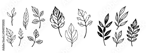 Handmade ink stamp leaves set with isolated black and white leaf blots featuring ink stamps, forest leaves, texture with monochrome and high detail