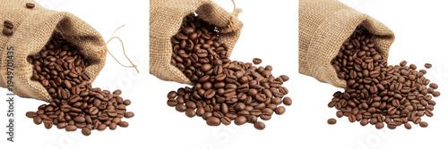 Roasted coffee beans spilling out of burlap jute sack isolated on white background, group of falling aromatic dark coffee beans from rustic bag