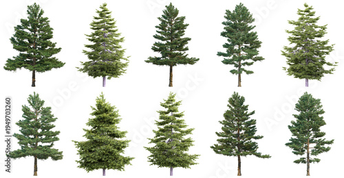 Diverse collection of realistic green pine and spruce trees in various sizes and shapes.