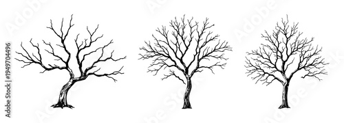 Dead Tree Branch set with isolated silhouette on white background featuring bark, leaf remnants, and natural decay with black line art and illustration