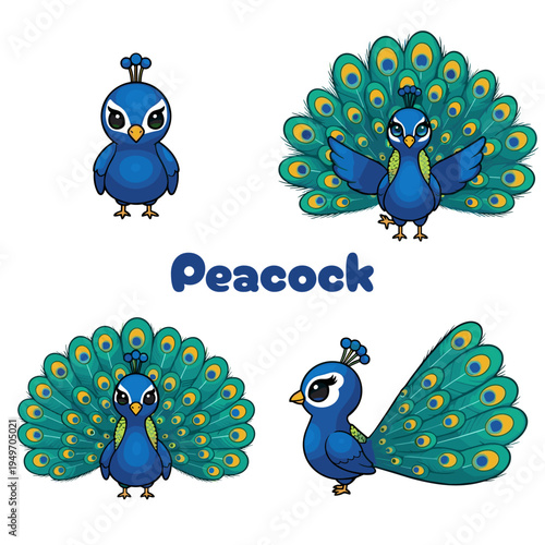 Tableau sur toile Cute peacock mascot four images many colors