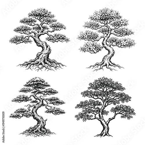 Bonsai Tree Vector Design Set