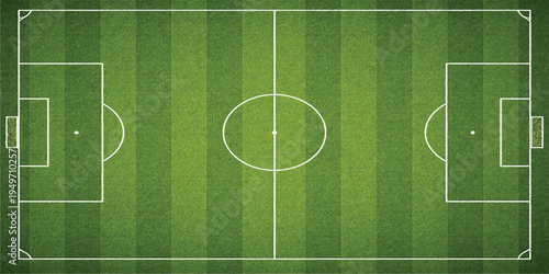 soccer field green grass with white lines illustration