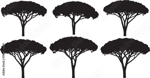 Black Solid Italian Stone Pine Tree Silhouettes Set of Six on White Background