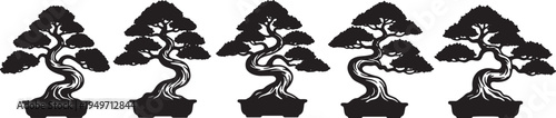 Black Solid Japanese Bonsai Tree Silhouettes Set of Six on White Background