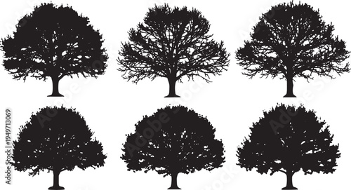 Black Solid Leafless Maple Tree Silhouettes Set of Six on White Background