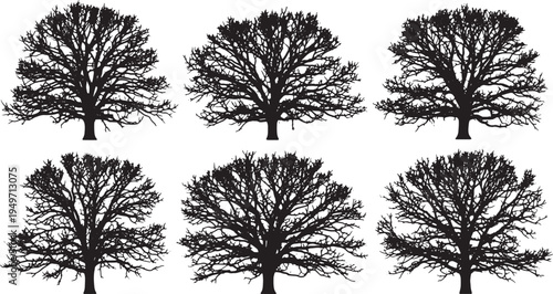Black Solid Leafless Oak Tree Silhouettes Set of Six on White Background