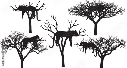 Black Solid Leopard Tree Silhouettes Set of Six on White Background