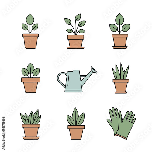 Isolated vector set of potted houseplants and garden flora featuring a growth of green leaves, herbs like rosemary, and a desert cactus in flowerpots for home botany and gardening