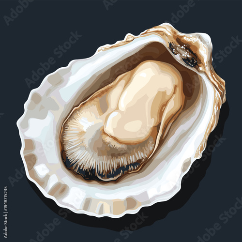 Open oyster with pearl isolated on dark background. , vector style simple color