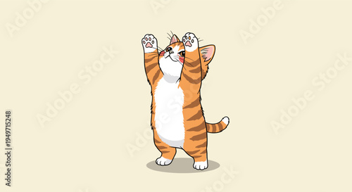 Playful ginger and white kitten stands on its hind legs reaching up with its paws in a cute stretching pose.