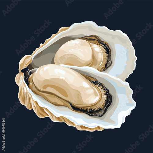 Open oyster with pearl isolated on dark background. , vector style simple color