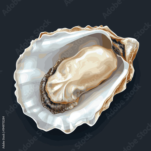 Open oyster with pearl isolated on dark background. , vector style simple color