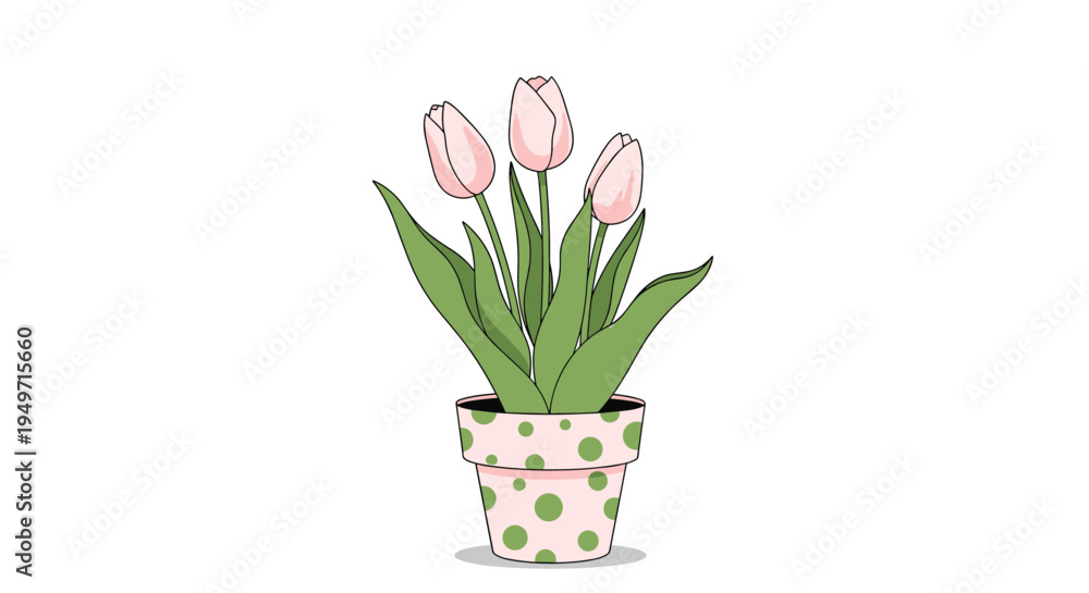 Obraz premium Three beautiful pink tulips with green leaves planted in a pink and green polka dot ceramic pot against a plain white background.