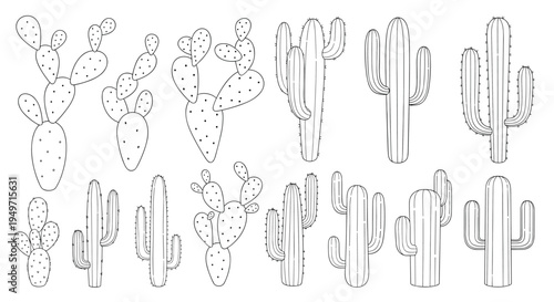 Set of various cactus species in black and white line art including prickly pear and saguaro types for coloring or design elements.