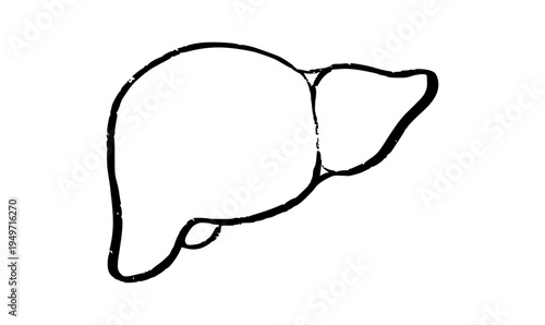 Liver logo sketch