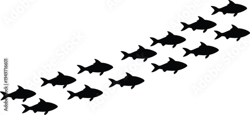 Fish, silhouette, school, underwater, marine, ocean, aquatic, swimming, vector, black, group, wildlife, nature, movement, migration.