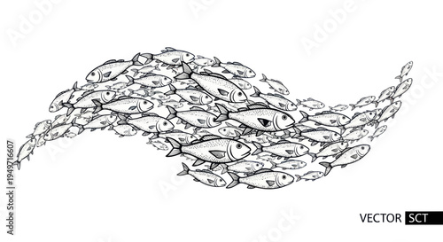 School of Fish Swirl, Vector Illustration