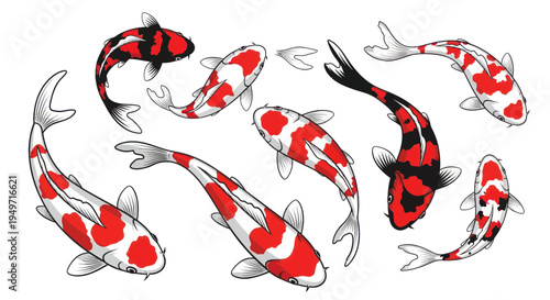 Set of Colorful Koi Carp Fish Illustrations on White Background