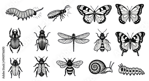 Vintage Insect Collection: Butterflies, Beetles, Bees, Caterpillar, Dragonfly, Snail