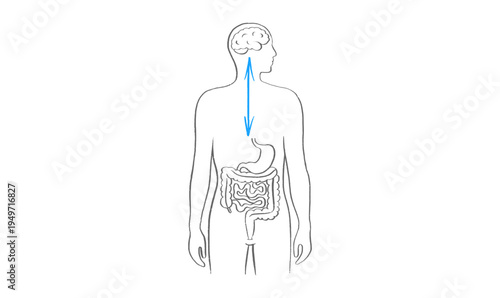 Gut Brain Connection