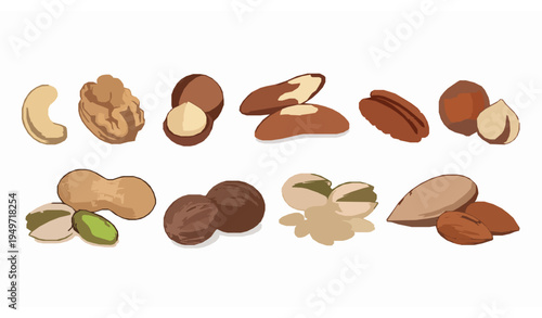 Hand drawn assorted nuts vector illustration set with almond peanut walnut pistachio pecan hazelnut and cashew isolated on white