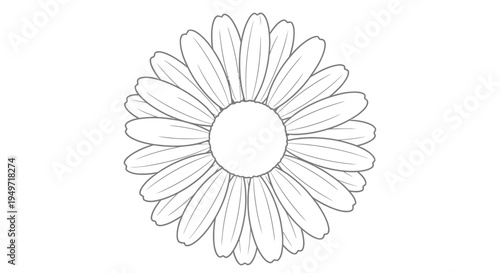 Simple line drawing of a daisy flower with a circular center and petals