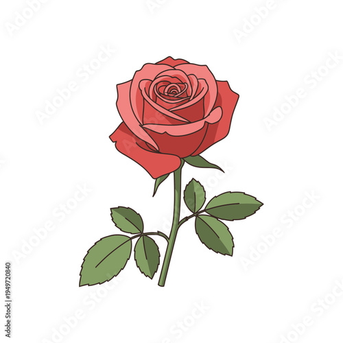 Elegant Rose with Stem and Leaves vector illustration