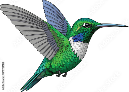 Detailed Hummingbird in Flight Vector Illustration Featuring Intricate Etching and Stipple Art Style for Premium Nature Branding, Wildlife Decor, and Tropical Summer Designs