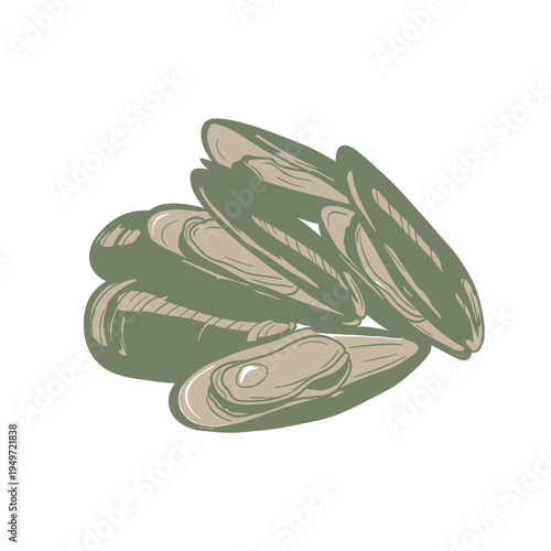 Stylized Mussel Shell Still Life vector illustration
