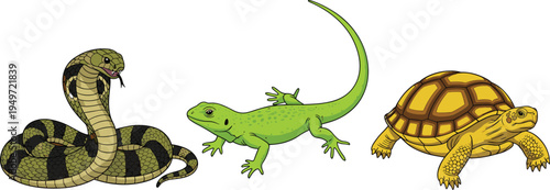 Detailed Reptile Vector Illustration Set Featuring King Cobra Snake, Green Lizard, and Yellow Turtle with Textured Shading for Nature Wildlife Education, Zoo Branding, and Biology Designs