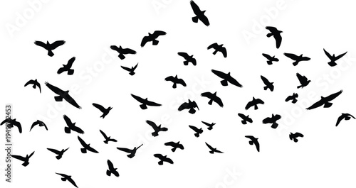 A large flock of birds flying together in a scattered formation
