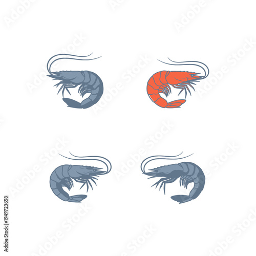 Fresh Shrimp Seafood Design Template vector illustration