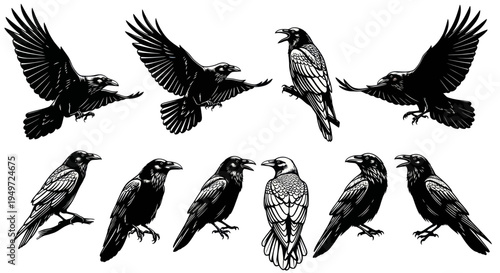 Collection of Black Ravens and Crows in Various Poses - Ink Sketch Style