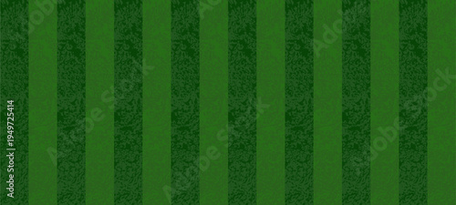 Green Grass Soccer Field. Top View of Stadium Pitch Background.